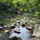 냉천골공원 이미지