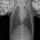 피그케어 동물병원 이미지