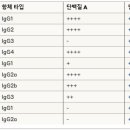 G3656 네이버블로그