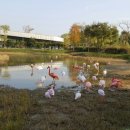 인영상사 이미지