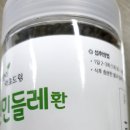 “면역력·간 해독에 좋은 흰민들레 효능 총정리🌿”