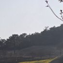 산동목장 | 🌺봄날 향기 따라, 물 따라…🌺 첫째 날