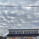 충일 | 남양주 국군마트 충호마트 갔다가 국군복지단 충일마트 다녀온 후기