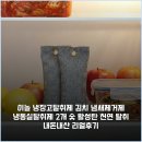 천연김치 | 이놀 냉장고탈취제 김치 냄새제거제 냉동실탈취제 2개 숯 활성탄 천연 탈취 내돈내산 리얼후기