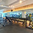 모티빅 피트니스 이미지