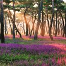 숨in(인) 이미지