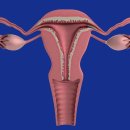 모란한의원 이미지