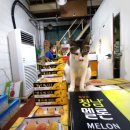 신광청과 이미지