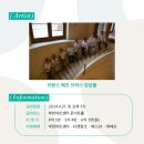 가족음악회 메츠브라스앙상블 네이버블로그