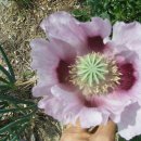 남해-297 이미지