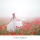 분황사주차장 이미지