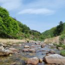 명지산 패밀리 펜션 | 가평명지계곡 독채펜션 추천, 가평명지산패밀리펜션 바베큐, 낚시후기