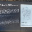 경복궁 관람과 광화문광장을 지나 신년모임장소로 (2023.1.12.목) 이미지