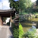 최씨 제실옆 이미지