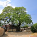 회화경로당 이미지