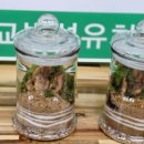 외삼초등학교(병설) 이미지