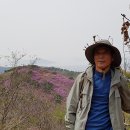 2017년4월15일 인천 강화군의 고려산 진달래꽃과 백련사 풍경 이미지