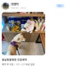 보라매동물병원 이미지