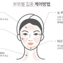 오로라 플러스 이미지