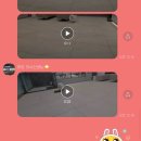 하트동물의료센터 이미지