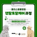 플러스덴탈서비스