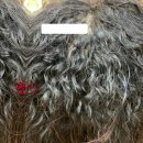 “악성곱슬도 포기 NO! 부산 사상 르네시떼 미용실 복구매직으로 찰랑 머릿결 재탄생” 이미지