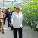 김농장 티스토리