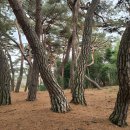 세종행정사 사무소 이미지