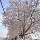 장성군남면보건지소 이미지