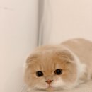 동남차유리 이미지