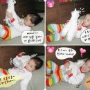 울엄마세탁 이미지