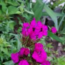 승희농장 이미지