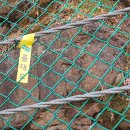 준희마을 이미지