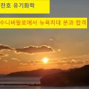 프리덴탈 | 프리덴탈 준비와 NYU 미국치대 본과 합격후기