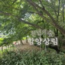 상림관광안내소 이미지