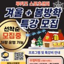 해빛4로 이미지