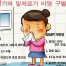 알레르기성 비염약 알레르기 비염 증상 원인 치료기 이미지