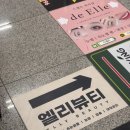 엘리뷰티 눈썹&속눈썹