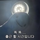 바셀메디칼 | 3월 비행일기: BKK🇹🇭, BCN🇪🇸, JFK🇺🇸, ICN🇰🇷, LHR🇬🇧