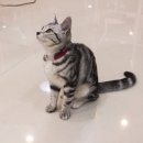 이은진헤어