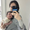 육아템ㅣ내돈내산 에르고베이비 엠브레이스 신생아 아기띠 사용후기