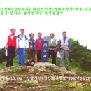 법수-4 이미지