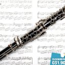 클라리넷 집중레슨 이미지