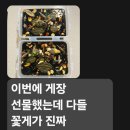 생선팜 이미지