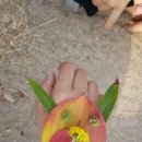 산림놀이 이미지