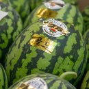 어상천시장 이미지