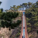 (주)등대 | 울산 추천 관광지, 대왕암공원과 출렁다리 후기(주차장, 울기등대)