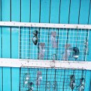 너도나도 | 제주액티비티 필수코스, 너도나도 ATV 리얼 후기