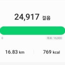 혜초여행사 이미지