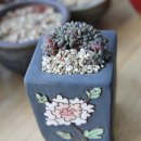 환타지아 이미지